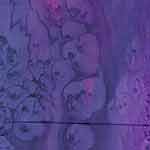 Purple Galilee Silk Scarf
