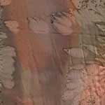 Brown Galilee Silk Scarf