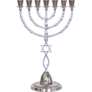 Extra Large Grafted In Menorah