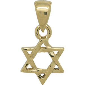Entwined Star of David Gold Plated Pendant