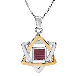 Nano Bible Necklace Silver and 9kt Gold Star of David