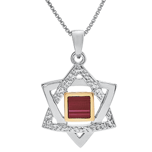 Nano Bible Necklace Silver Smoother and Hammered Star of David