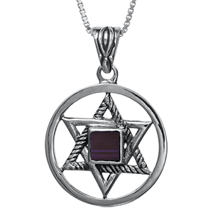 Nano Bible Necklace Silver Encircled Star of David