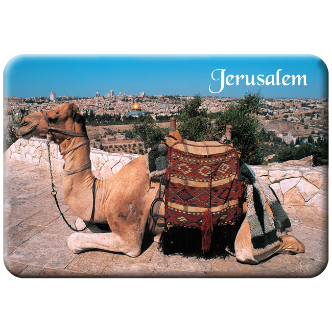 Camel in Jerusalem Magnet