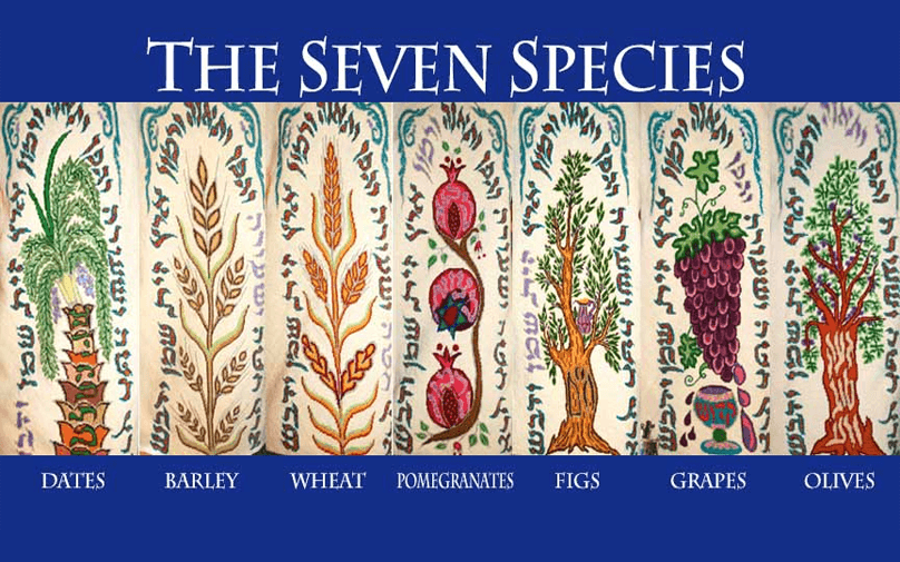 The Symbolism of the Seven Species of Israel