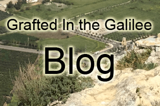Blog Grafted In the Galilee
