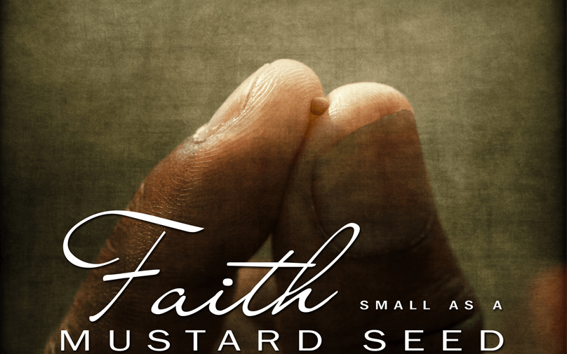 The Biblical Importance of the Mustard Seed and the Significance to the Believer's Faith