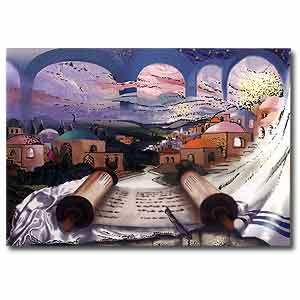 Touch of Torah by Bracha Lavee