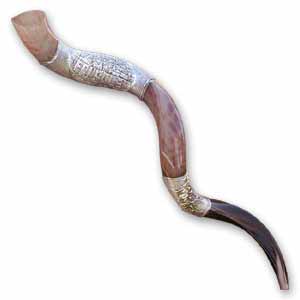 Silver and Gold Plated Yemenite Shofar 35-37 inches / 90-94.9 cm