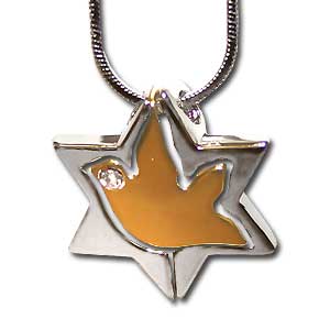 DISCONTINUED. Star of David Pendant