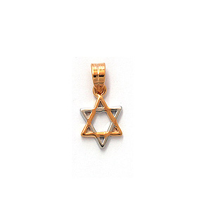 Two-tone Star of David Pendant