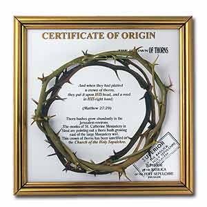 The Crown of Thorns