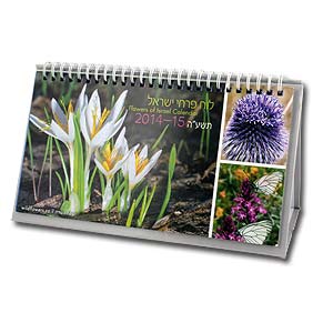 Flowers of Israel Year 5776 (Sept 2015 - 2016)) Jewish Desk Calendar