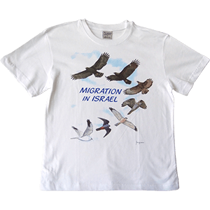 Migration in Israel Kids T-Shirt