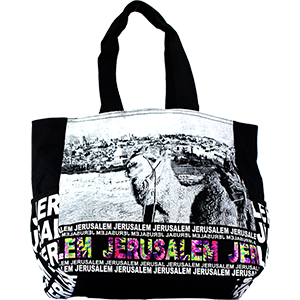 Bolso con detalles en tela metalica de Jerusalen y Camello en color del Arco Iris.