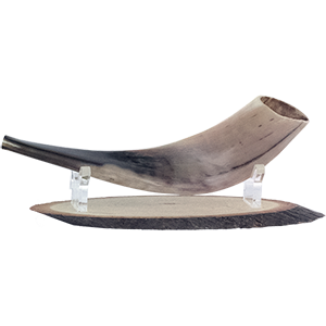 Soporte de Shofar de madera Lucite.