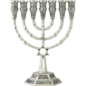 Silver Plated Star of David Menorah