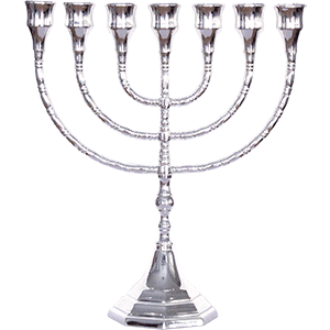 Large Elegant Menorah