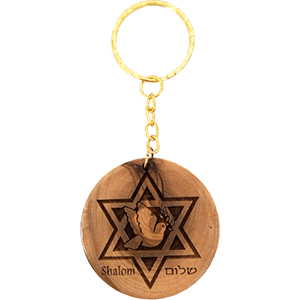 Peace Dove Star of David Keychain