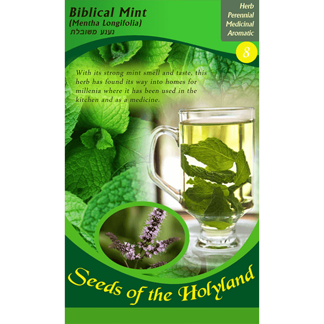 Biblical Mint Seeds of the Holy Land