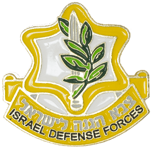 IDF Insignia Pin