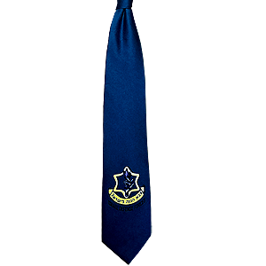 Blue IDF Neck Tie
