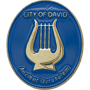 City of David Lapel Pin