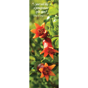 Pomegranate Blossom Biblical Flower Bookmark