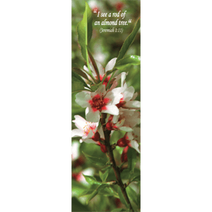 Almond Blossom Biblical Flower Bookmark