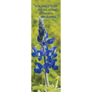 Lupine Biblical Flowers Bookmark