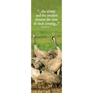 Eurasian Crane Israel Wildlife Bookmark