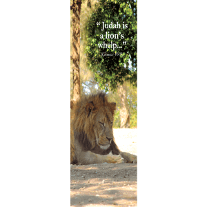 Lion Israel Wildlife Bookmark