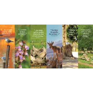 Israel Wildlife Bookmark Set of 6
