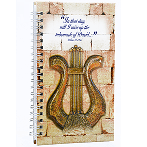 David's Harp Mosaic Pocket Notebook