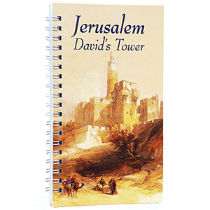 David Roberts David’s Tower Pocket Notebook