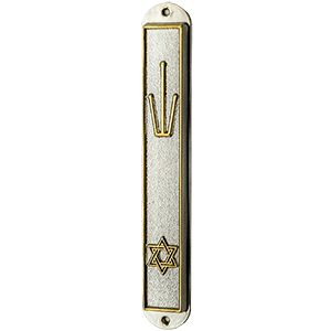 Matte Silver Plated Mezuzah with Star of David
