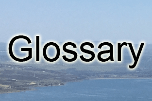 Glossary