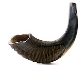 Shofars for Sale: Styles and Accessories
